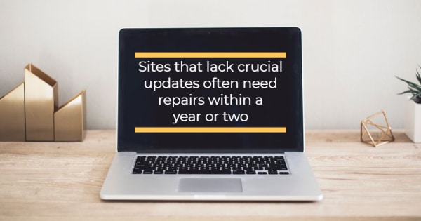 custom website design services