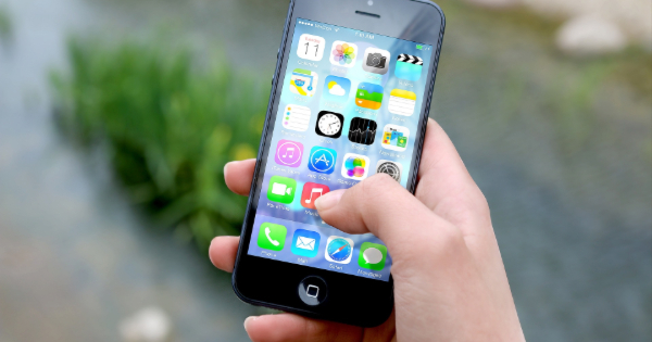 custom web developer